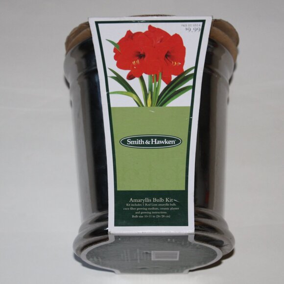 Smith & Hawken Amaryllis Ceramic Planter with Coco Fiber - Silver - Picture 2 of 5
